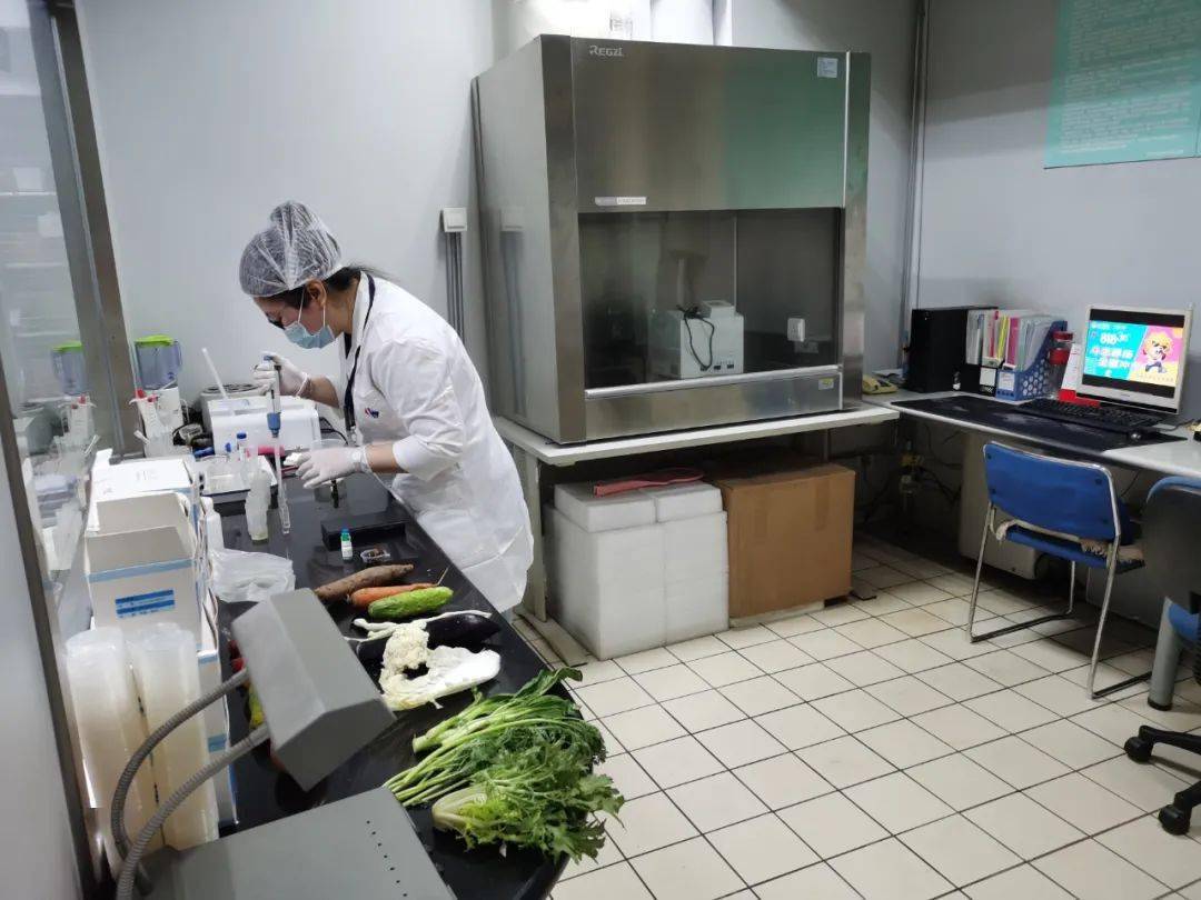 博罗食品检测实验室装修方案